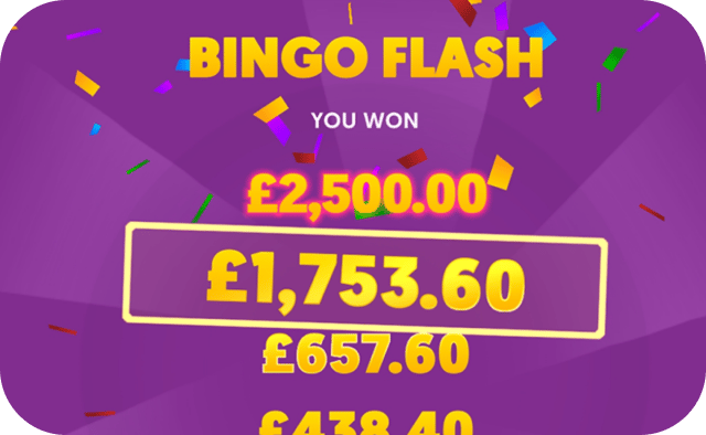 Bingo flash